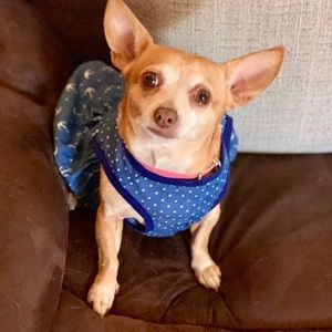 Meet your Posher, Danah